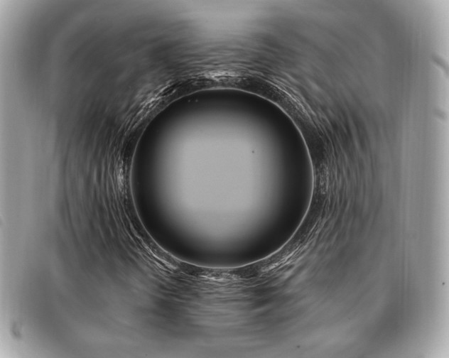 X0000091531298200708171211