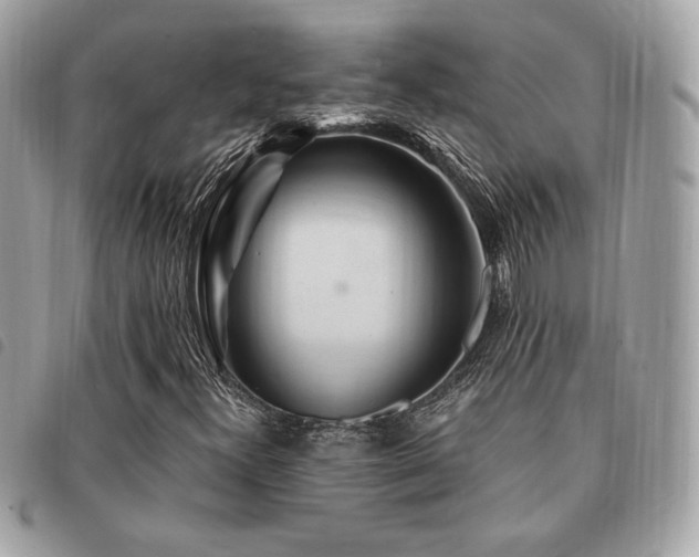 X0000091531300200708171211