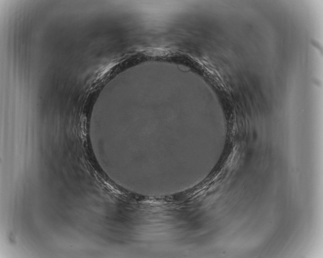 X0000091531301200708171211