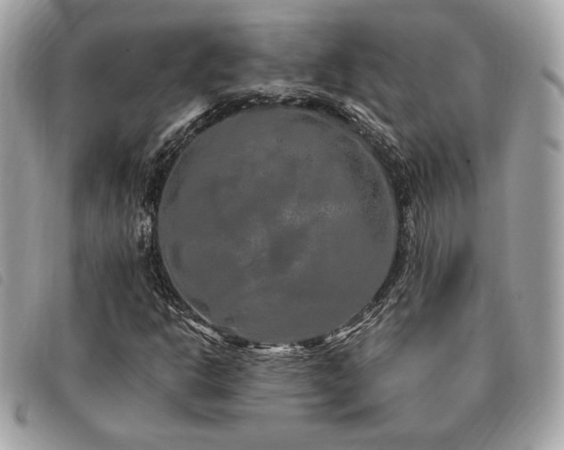 X0000091531302200708171211