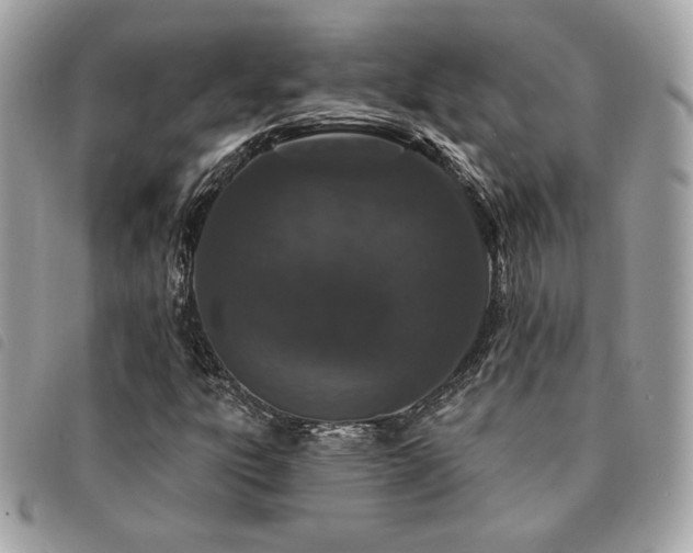 X0000091531303200708171211
