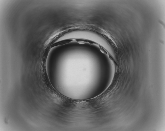 X0000091531304200708171211