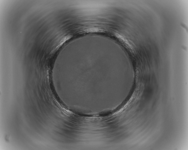 X0000091531305200708171211