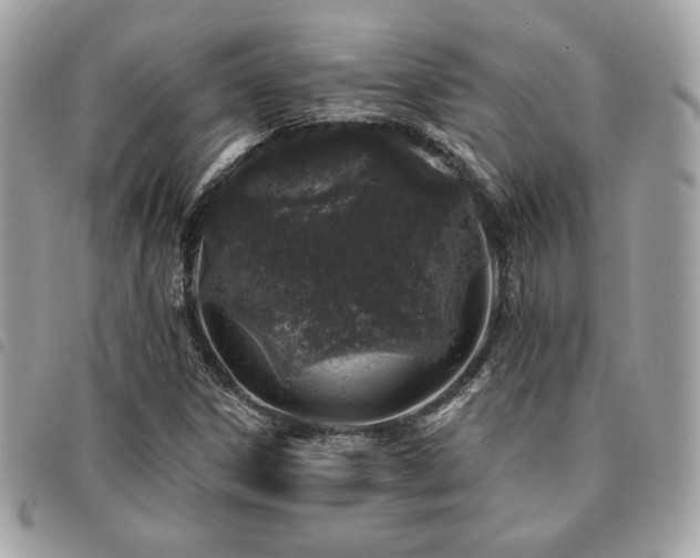 X0000091531306200708171211