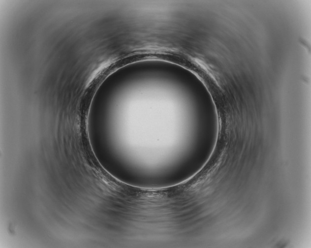 X0000091531307200708171211