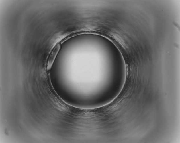 X0000091531308200708171211