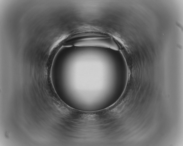 X0000091531309200708171211