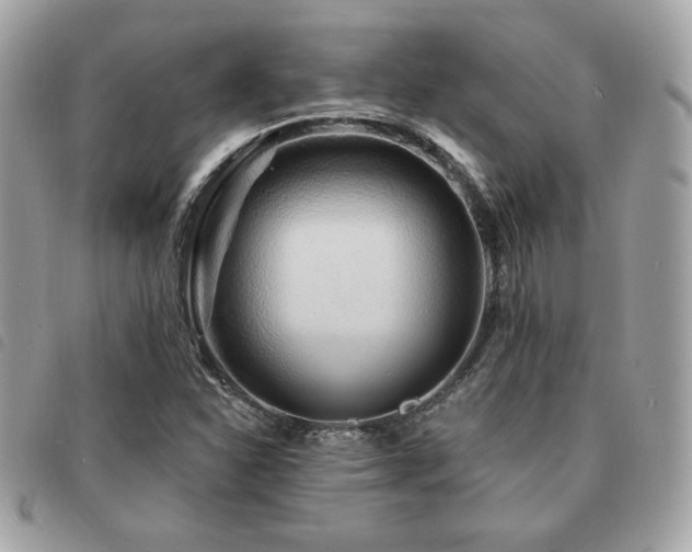 X0000091531310200708171211