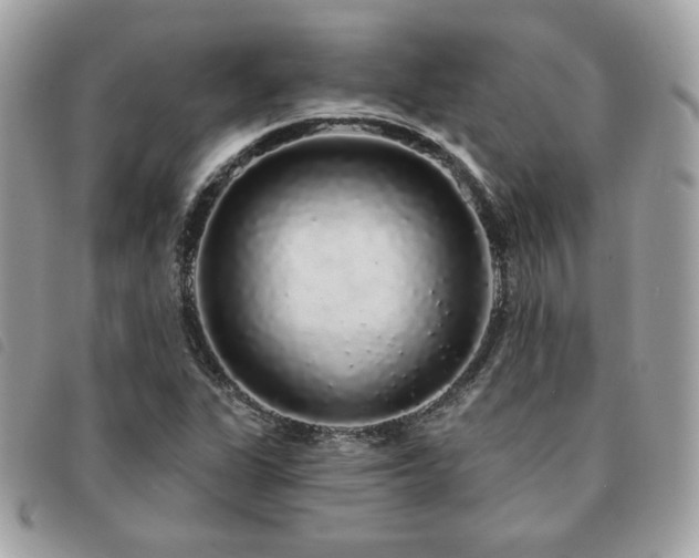 X0000091531311200708171211