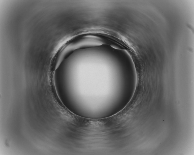 X0000091531312200708171211