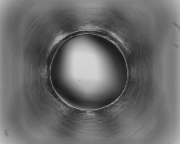 X0000091531315200708171212