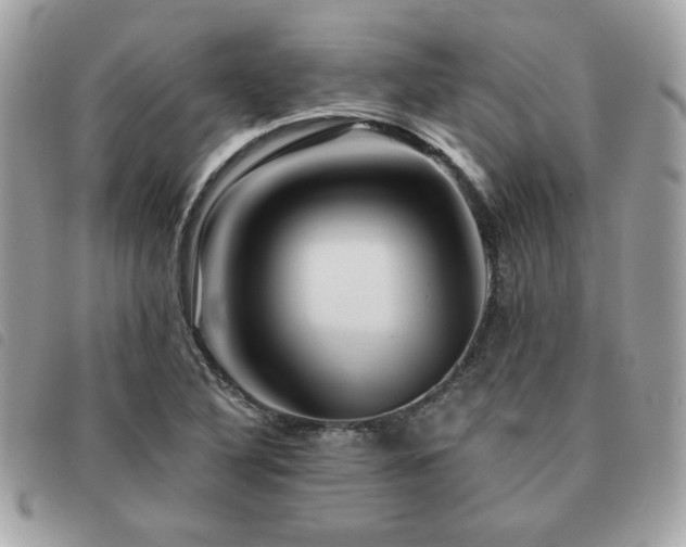 X0000091531316200708171212