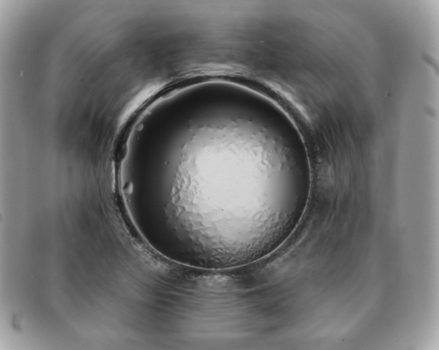 X0000091531317200708171212