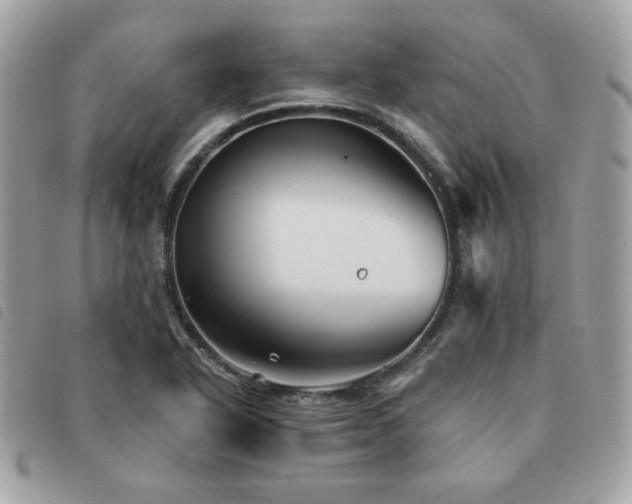 X0000091531318200708171212