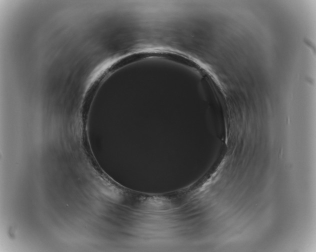 X0000091531319200708171212
