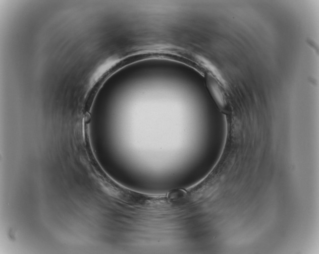 X0000091531320200708171212