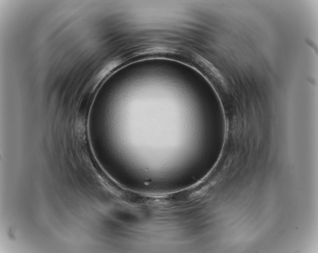 X0000091531321200708171212