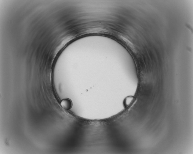 X0000091531322200708171212