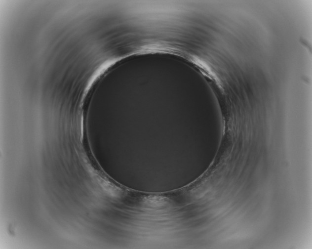 X0000091531323200708171212