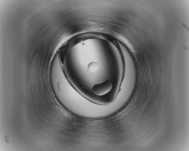 X0000091531324200708171212