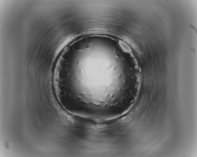 X0000091531325200708171212