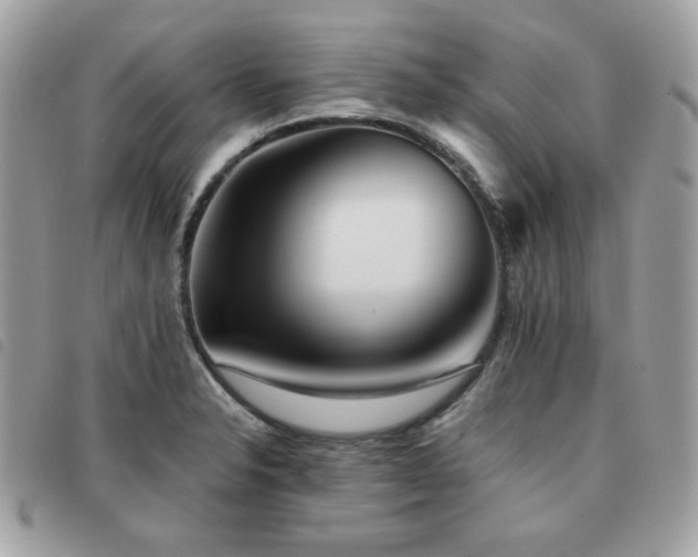 X0000091531326200708171212