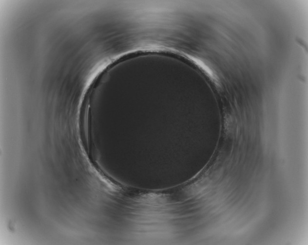 X0000091531327200708171212
