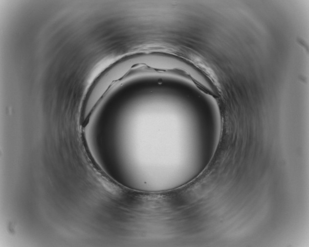 X0000091531328200708171212