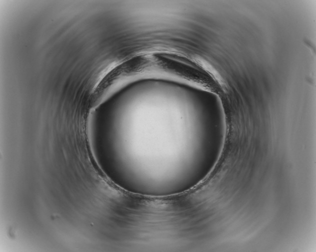 X0000091531329200708171212