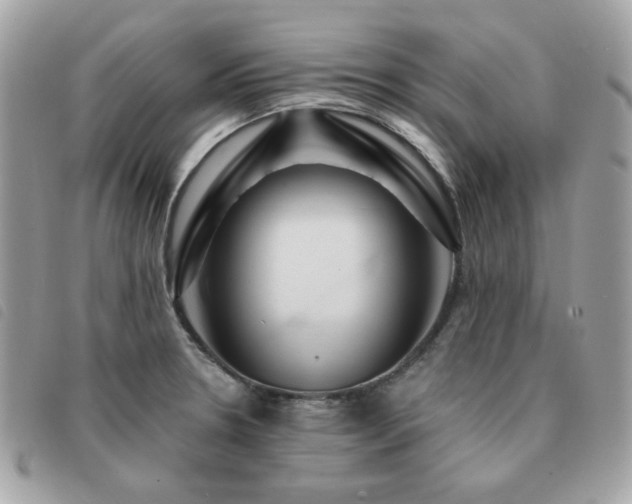 X0000091531330200708171212
