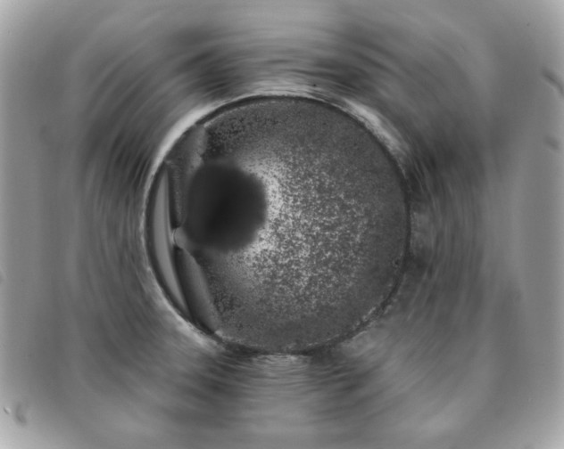 X0000091531331200708171212