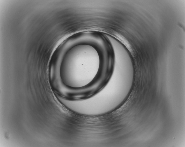 X0000091531332200708171212
