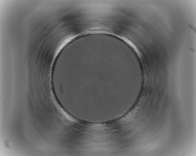 X0000091531333200708171212
