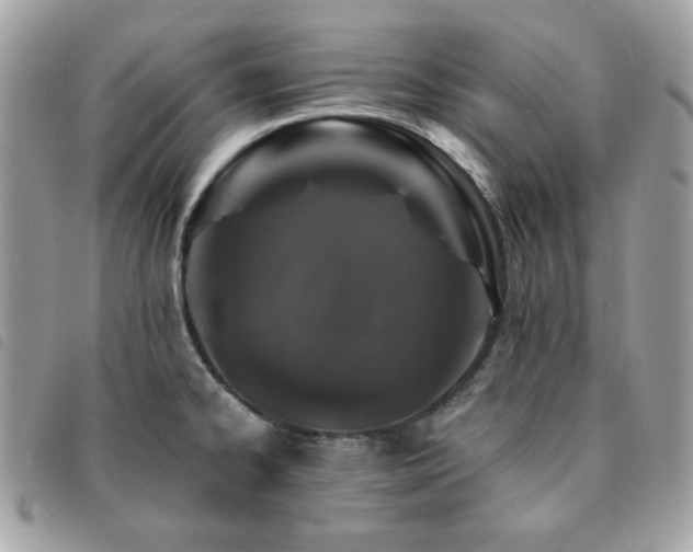 X0000091531334200708171212