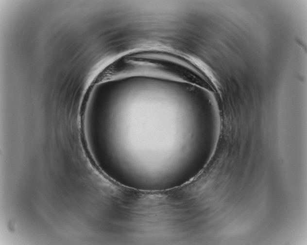 X0000091531335200708171212