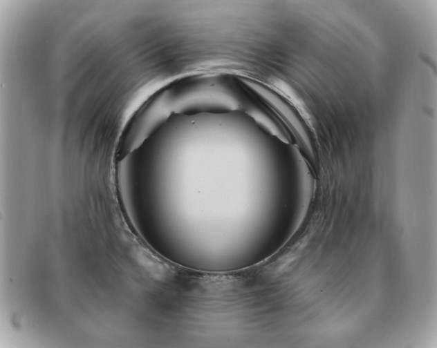 X0000091531336200708171212