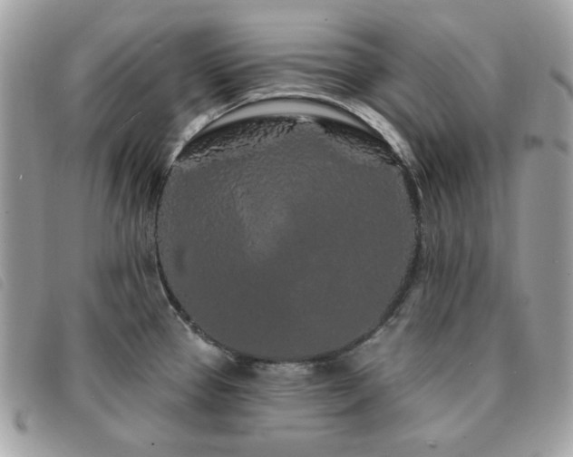 X0000091531337200708171212