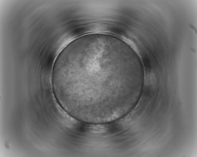 X0000091531338200708171212