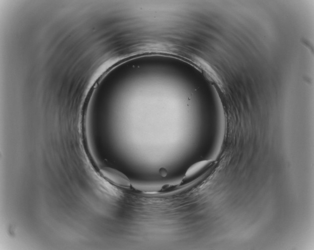 X0000091531339200708171212