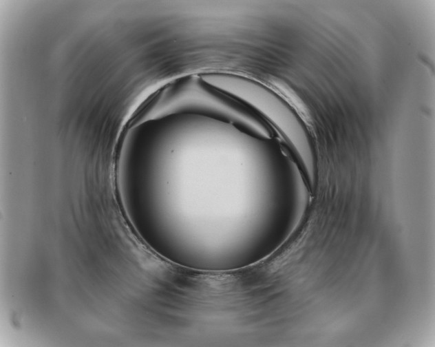 X0000091531340200708171212