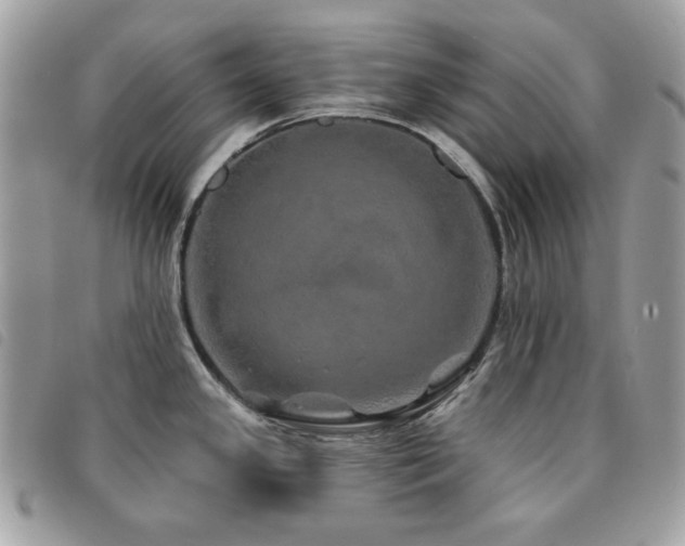 X0000091531341200708171212