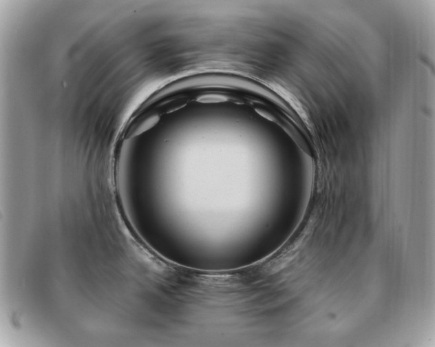 X0000091531342200708171212