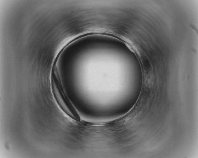 X0000091531343200708171212