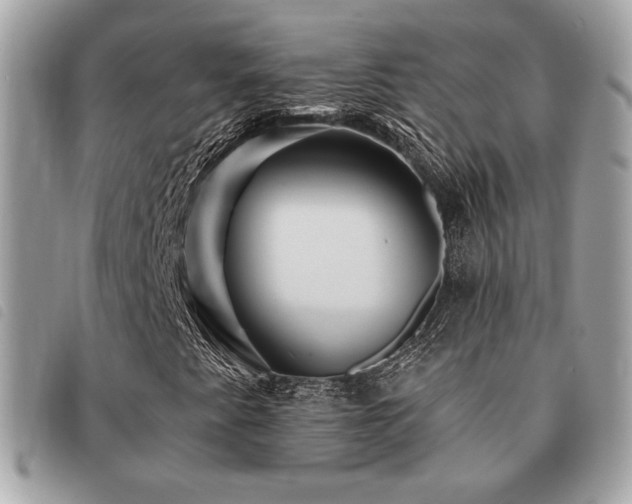 X0000091531345200708171211