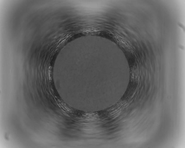 X0000091531346200708171211