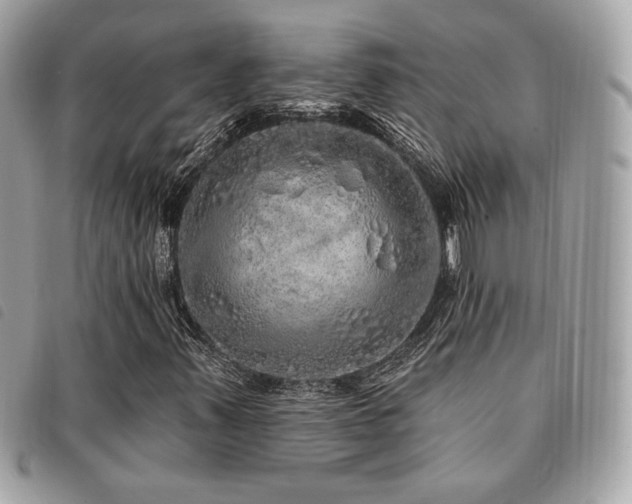 X0000091531347200708171211