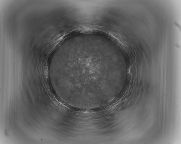X0000091531348200708171211