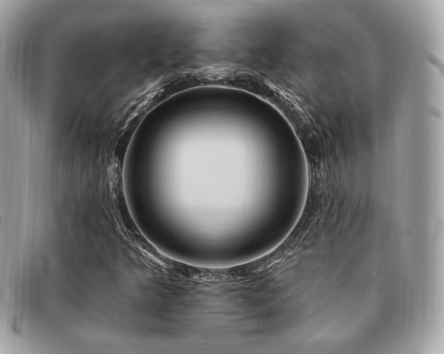 X0000091531349200708171211