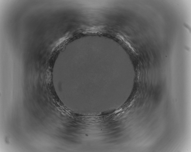 X0000091531350200708171211