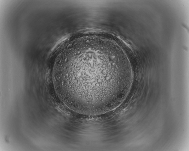X0000091531351200708171211